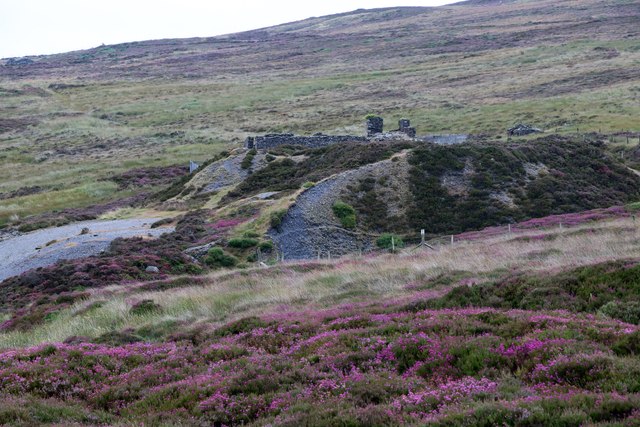 The site of Dixon's Vein, one of the lead workings in the Foxdale mining district.